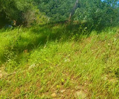 柳關欒盧鉛鋅礦|治理排土“瘡疤”，繪就綠色畫卷